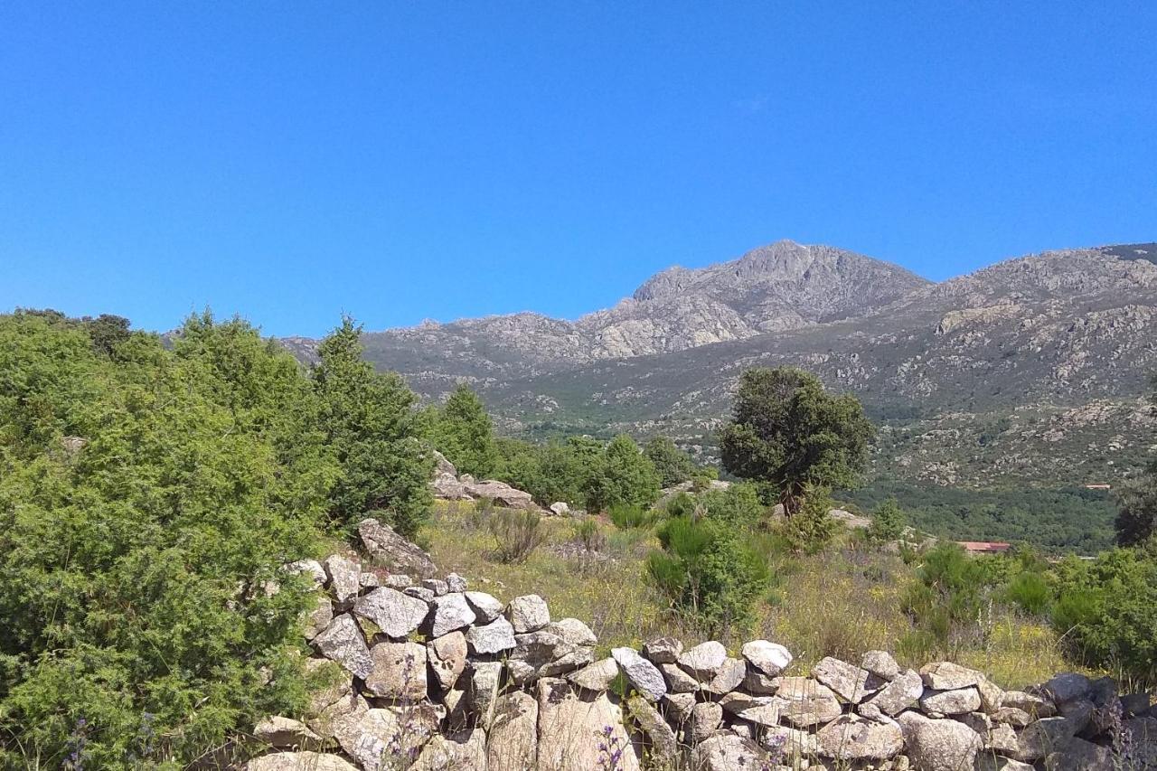Acogedora Casa Rural En La Sierra De Madrid Mataelpino Eksteriør bilde