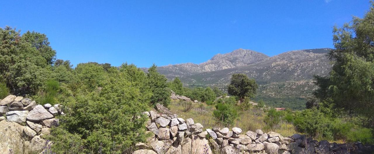 Acogedora Casa Rural En La Sierra De Madrid Mataelpino Eksteriør bilde
