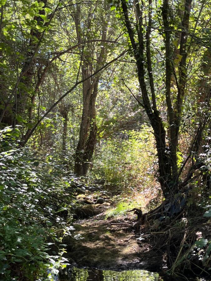Acogedora Casa Rural En La Sierra De Madrid Mataelpino Eksteriør bilde